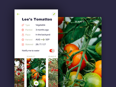 Lee's Tomattos gallery icon ios plant profile red reminder tommato veggie water