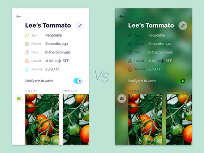 Tommato profile add blur camera gallery ios plant profile red reminder tomato water