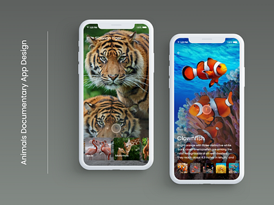 Animals Documentary App Design