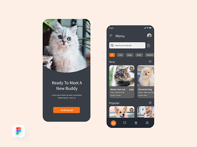 Pets Lovers App Design splash