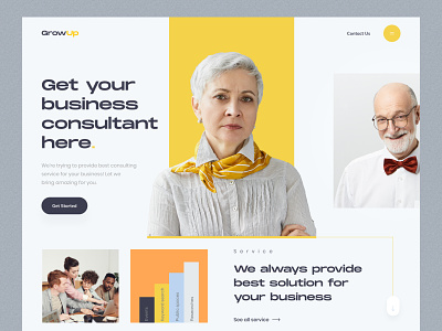 Consulting Agency Website Design