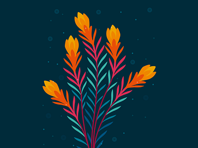 Indian Paintbrush design illustration wildflowers