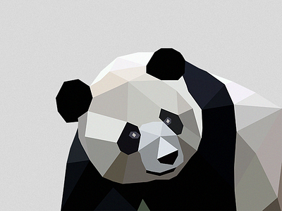 Le Panda animals bear panda zoo