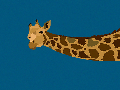 Le Giraffe animal berán giraffe javier zoo