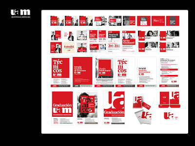 Universidad Americana brand branding color design digital graphic language identity design personality playbook print research socialmedia trend typography