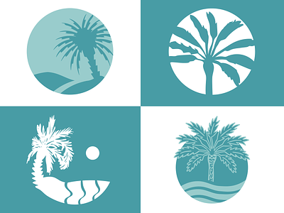 Palm Tree Logos beach branding design illustration logo palm palm tree vector