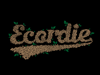 Ecordie