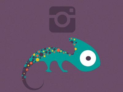 Impro with Instagram after animation chameleon effects impro instagram romania