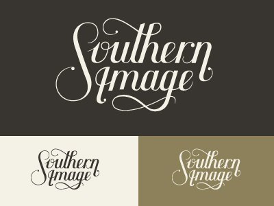 Southern Image branding hand drawn identity lettering logo type typography