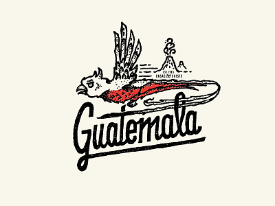 The Quetzal brand development branding guatemala illustration lettering