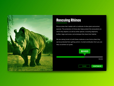 Crowdfunding - Day 32 app black dailyui design flat green illustration illustrator minimal rescue rhinoceros rhinos ui ui design vector website
