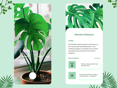 Plant App - Identify By Snap