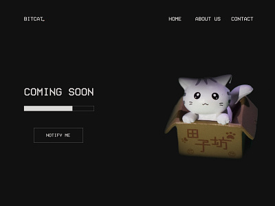 Coming Soon adobe xd cat coming soon coming soon page dailyui design notify ui web xd