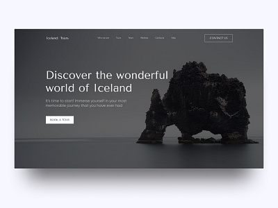 Iceland | Tours - website design