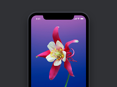 Simple iPhone X Mockup