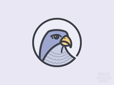 Falcon adobe design falcon iammillejoules illustration illustrator log