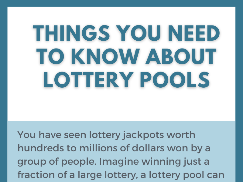 Things You Need To Know About Lottery Pools. by The Lottery Lab on Dribbble
