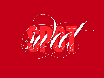 Sweet spot design graphic design handletter lettering minimal type typography vector