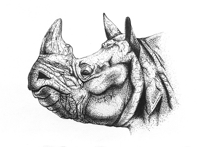 Rhino art drawing illustraion illustration