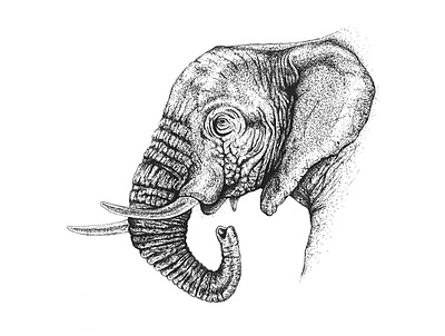 Elephant art artwork drawing illustraion illustration ink
