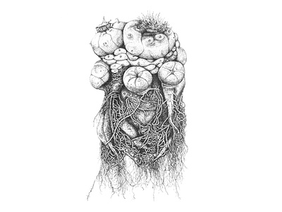 Peyote plant art drawing illustrator ink