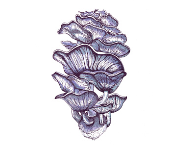Mushrooms art artwork drawing ink