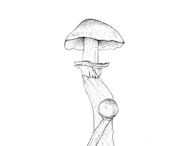 Magic Mushroom art artwork drawing illustraion illustration