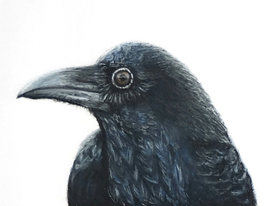 Crow art artwork drawing illustration