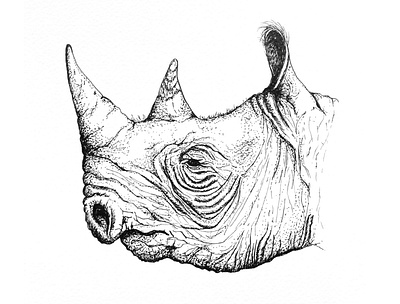 Rhino sketch art artwork design drawing illustraion illustration illustrator