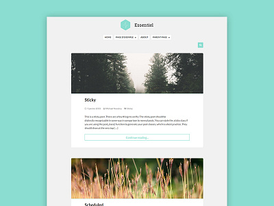 Essentiel, wordpress theme