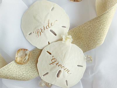 Sand dollar place cards beach theme modern calligraphy place cards