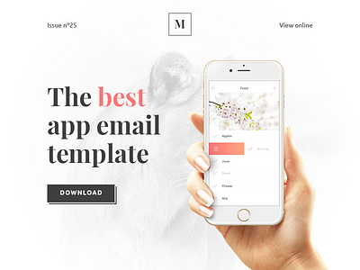 Mater - Responsive Email Template app builder clean email email template envato minimal newsletter typography white