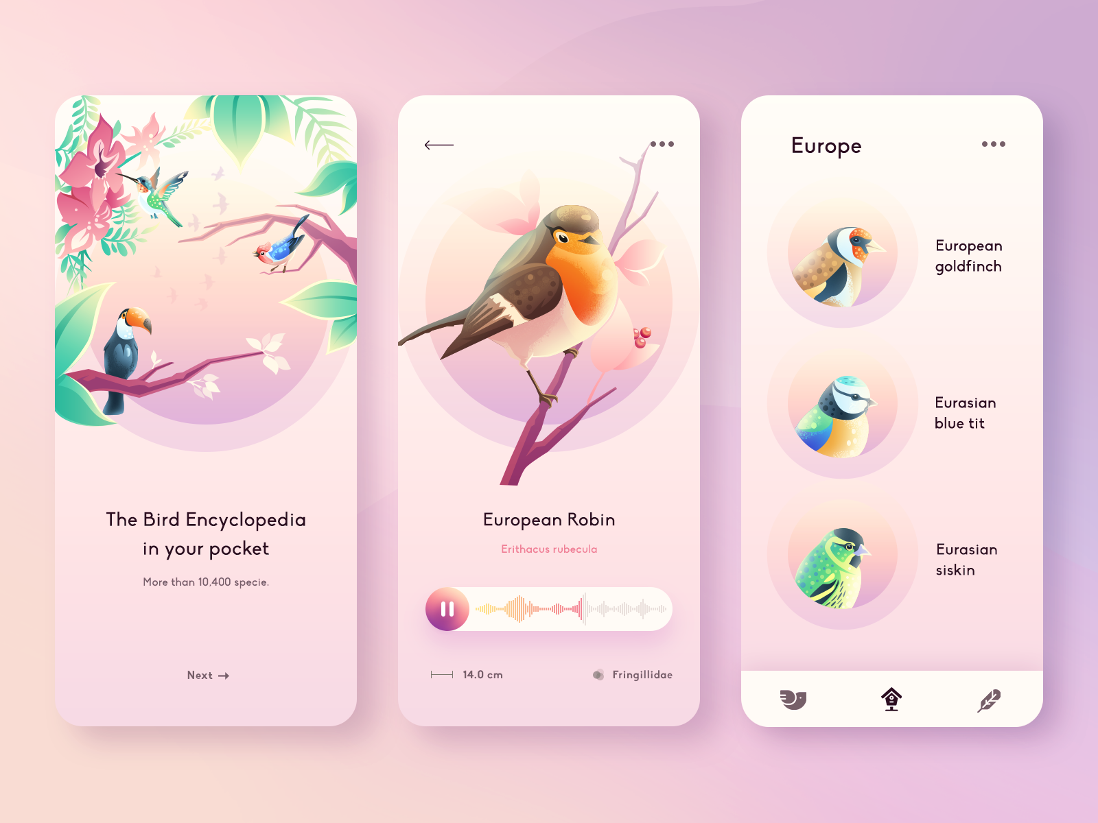 Birds Guide APP By Walid Beno On Dribbble