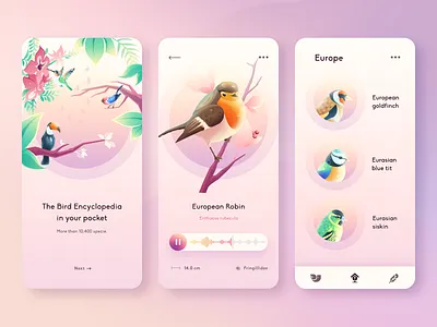 Birds Guide APP animals bird bird app birds birds app branding clean design encyclopedia flowers gradient icon illustration minimal tucan ui vector wild