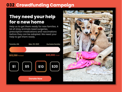 032 Crowdfunding Campaign daily ui dailyui design ui uichallenge