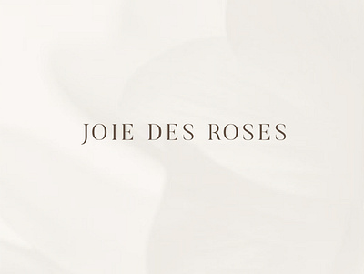 JOIE DES ROSES blogger brand design brand identity brandguide branding fashion logo packaging typogaphy