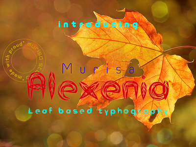 Murisa Alexenia Font plant