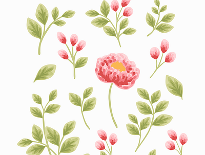 Peony Flower and Leaf Elements aesthetic botanical design digital art floral flower flower illustration hand drawn illustration nature peony pink plants