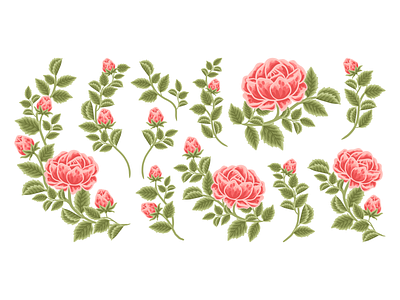 Set of Hand Drawn Summer Red Rose Flower Elements