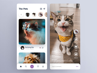 The Pets animals app application cat clean dog interaction material menu minimal mobile pet purple social social media story ui design xd