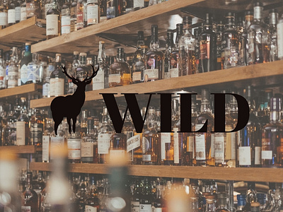 WILD / logo design