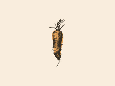 Carrot Illustration carrot food illustration mexico orange