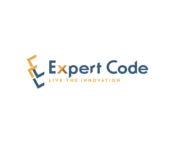 Expert Code Logo Design branding graphic design logo