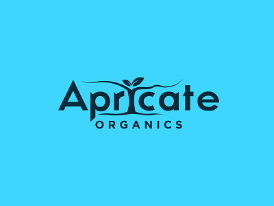 Apricate Logo Design branding graphic design logo