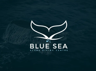 Blue Sea Logo Design branding graphic design logo