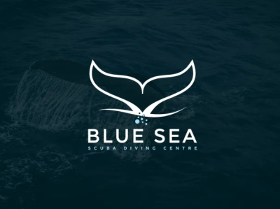 Blue Sea Logo Design