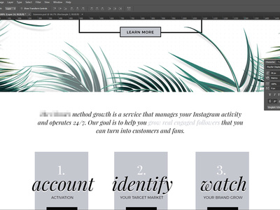 Web Design Shot