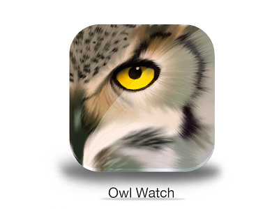 Owl Watch App Concept app concept feathers owl photoshop