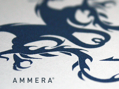 Ammera application blue chinese dragon logo oriental