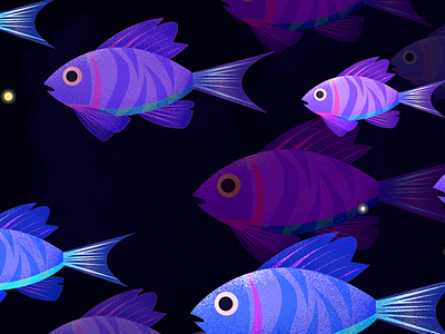 Fish illustration